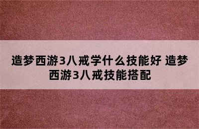 造梦西游3八戒学什么技能好 造梦西游3八戒技能搭配